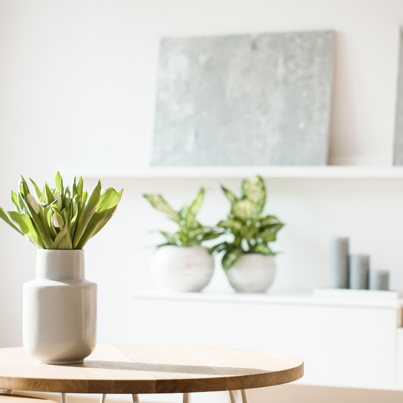 Decluttered living room